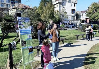 38.Sdruzenie Zasita Na Boanskoto Blato 2