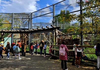 9.Sdruzenie Nacalno Ucilise Milea Association Private Primary School Milea 1